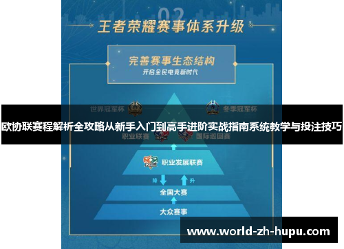 欧协联赛程解析全攻略从新手入门到高手进阶实战指南系统教学与投注技巧 欧协联赛程解析全攻略从新手入门到高手进阶实战指南系统教学与投注技巧
