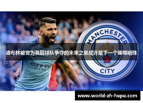 迪布林被誉为英超球队争夺的未来之星或许是下一个璀璨明珠