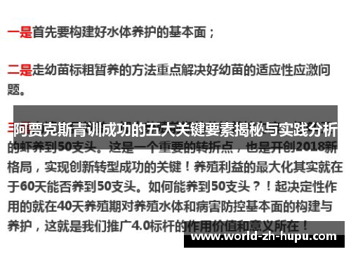 阿贾克斯青训成功的五大关键要素揭秘与实践分析